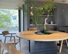 円卓の中に植栽